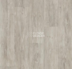 Линолеум Forbo De Luxe 2894-3024 grey pine фото 1 | FLOORDEALER